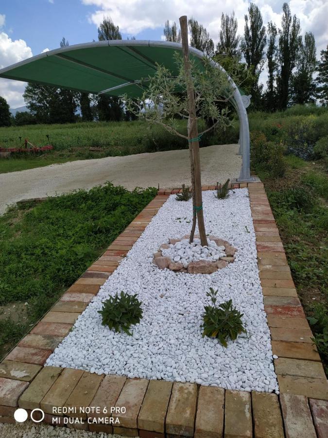 Agriturismo  Le Serre Spello Extérieur photo
