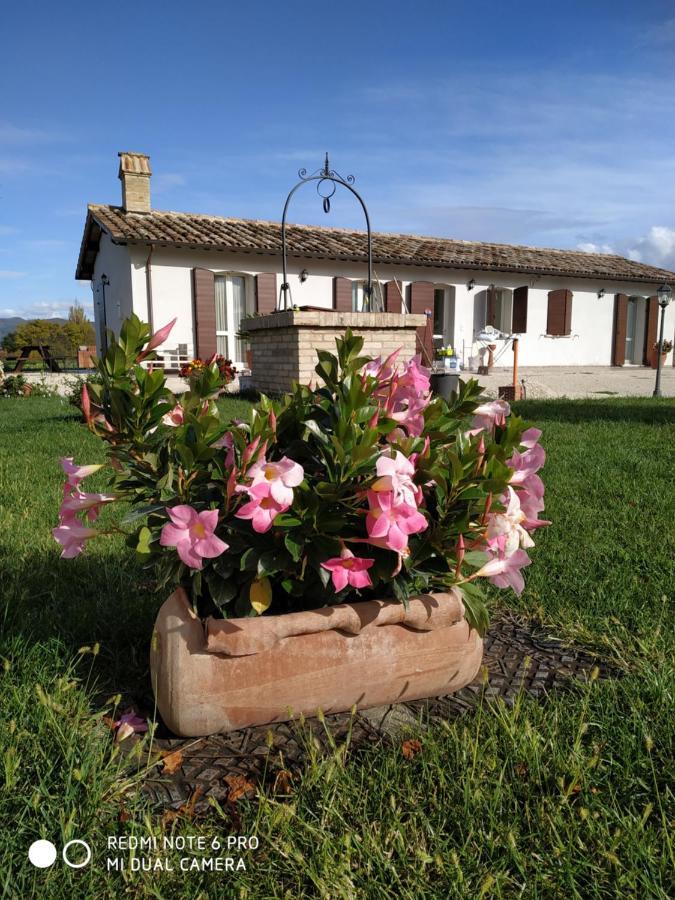 Agriturismo  Le Serre Spello Extérieur photo