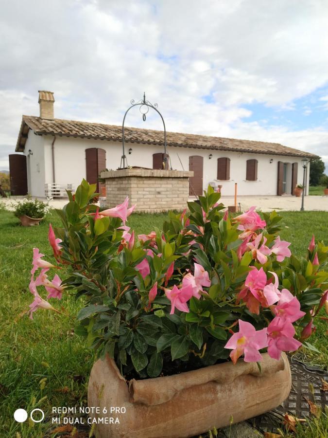 Agriturismo  Le Serre Spello Extérieur photo